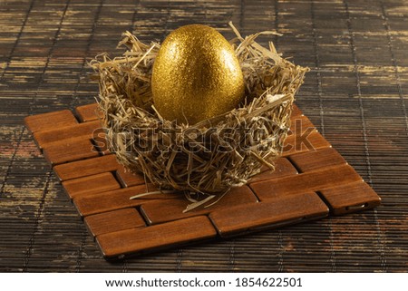 the image of the golden egg in the nest as a symbol of wealth
