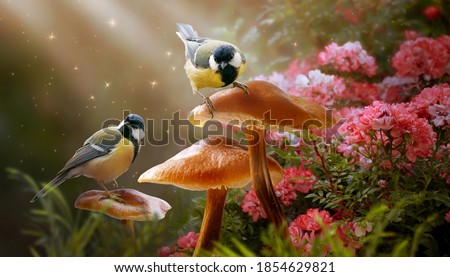 Fantasy Portrait Of two Tit Birds Sitting on Mushrooms in Magical enchanted Fairy Tale dreamy elf Forest, fabulous Fairytale pink Rose Flower Garden and Cute Songbirds, glowing sun rays in morning