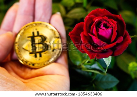 Flower rose red with bitcoin logo on a black background