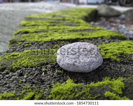 stones and green moss that are very much at one with nature
