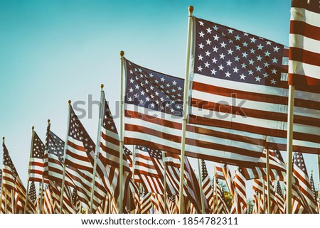 American flags waving in the wind against blue sky on the honor of Veterans day celebration. Copy space. Vintage filter effects.