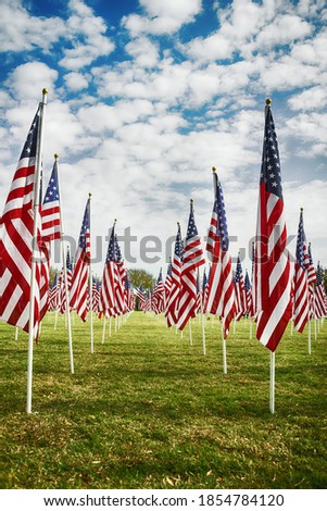 Row of American flags standing in the green field. Veterans Day display. Blue sky and white clouds background.  
