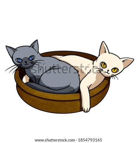Two cats, white and black curled up in a basket. cartoon character for decoration in pet artwork advertising, clip art, textbook for small children.