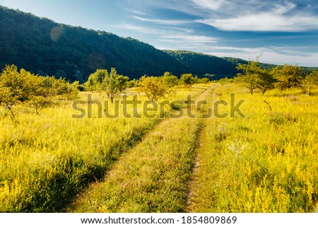 Tranquil green meadow in the Dniester canyon on sunny day. Location place Dnister river of Ukraine, Europe. Vibrant photo wallpaper. Picturesque nature photography. Discover the beauty of earth.