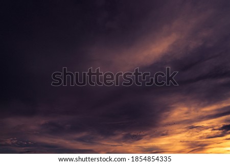 Golden, purple, and dark sunset sky. Birds flying on dark sunset sky. Romantic and tranquil scene. A flock of birds and purple sunset sky. Nature cloudscape. Peaceful and tranquil abstract background.