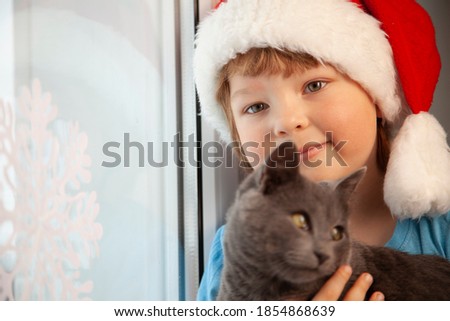 happy boy in santa hat stroking fluffy cat near window