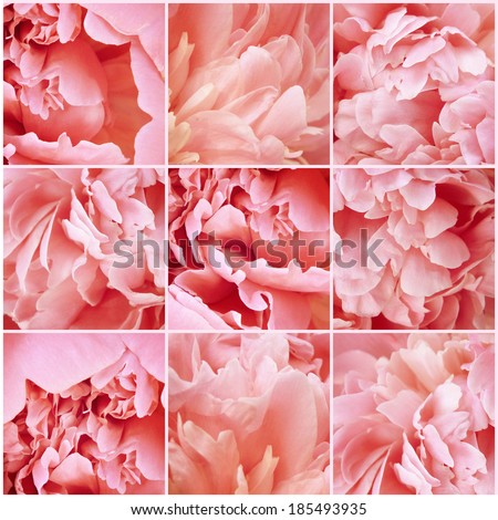 Vintage collage. Flowers. Peony pink petals. Art floral background with paper texture overlay. Retro style.