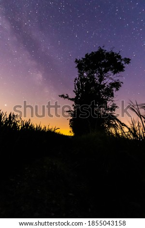 Milky-way above a field with silhouettes of tree and grass