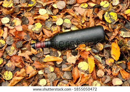 old wine bottle in autumnal painted leaves 