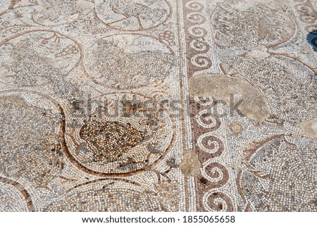 Fragment of Mosaic floor of a Byzantine church. Khirbet Beit Lei or Beth Loya at Judean lowlands of Israel