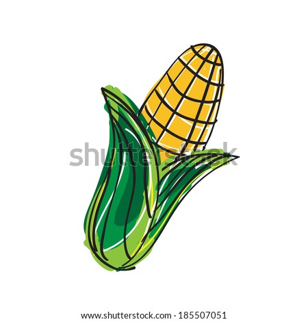 Hand drawn corn on white background