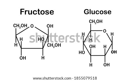 fructose and glucose structures on white background Royalty-Free Stock Photo #1855079518
