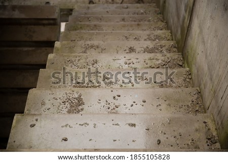 concrete staircase in a residential abandoned house