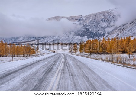 Picturesque autumn landscape with an asphalt road in the mountains, golden larch trees on the roadside, clouds and the first snow on a frosty cloudy morning Royalty-Free Stock Photo #1855120564