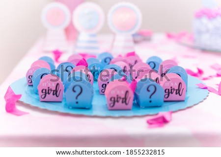 boy or girl? Baby Gender Reveal Party Concept