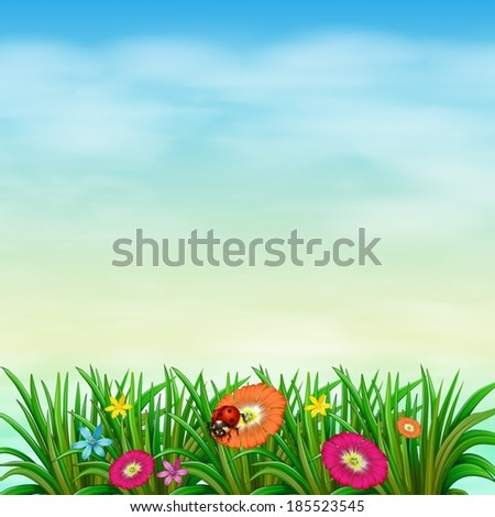 Illustration of a garden with colourful flowers