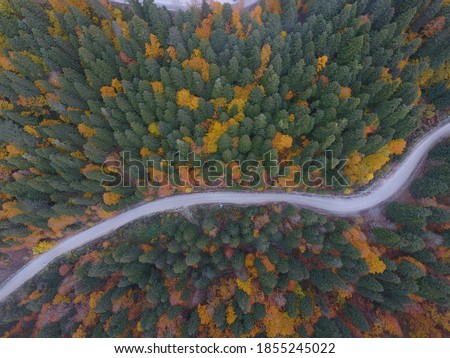Driving in Yedigöller National Park during the autumn season with amazing autumn colours from the perspective of the weather