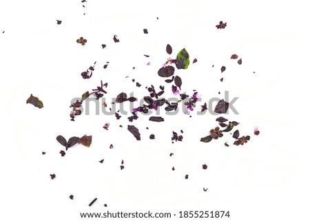 Fresh chopped red basil leaves isolated on white background. Spicy aromatic sliced raw basilic or ocimum herbs. 