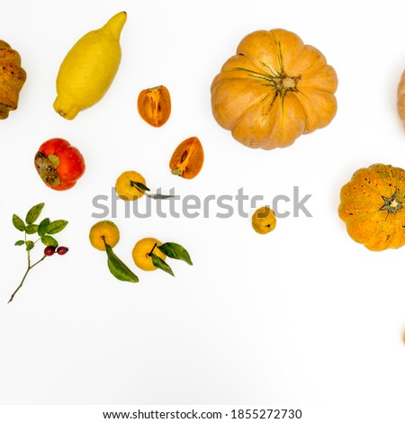 rose hips and yellow fruits and vegetables: pumpkin, japanese quince, tangerine, persimmon, slice, lemon, orange on a white background. Flat lay, top view. minimal concept. Square frame. Copy space