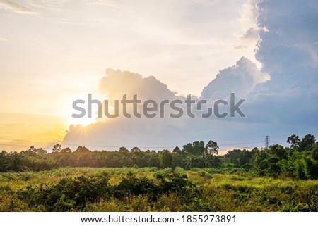 Landscape meadows view with sky and white cloud and green grass in morning light