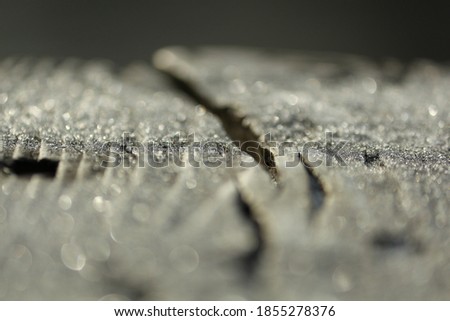 Old cracked board in white silvery hoarfrost in sun glare outdoors on a winter day. White wood frosted textured surface. Beautiful white abstract snow background.