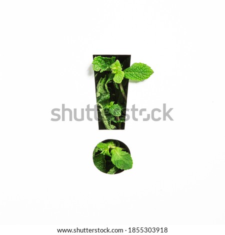Exclamation mark of green natural mint, cut paper isolated on white. Menthol font. Warning and keep attention concept