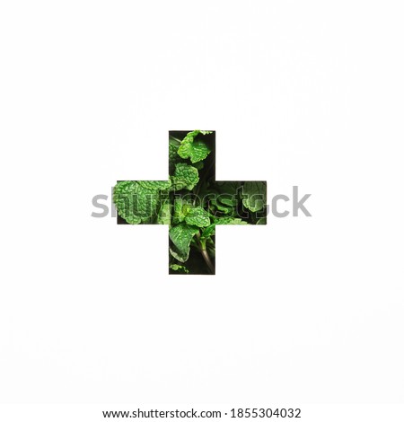 Plus summation sign or cross of green natural mint, cut paper isolated on white. Menthol peppermint font