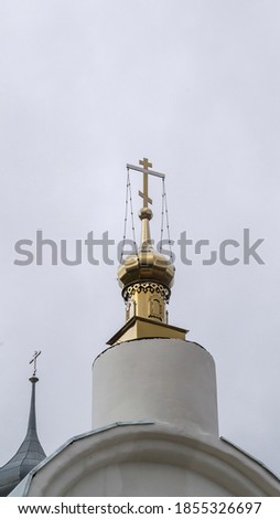 Dome of the Orthodox Church, Russia, Kostroma oblast, a village in Baran