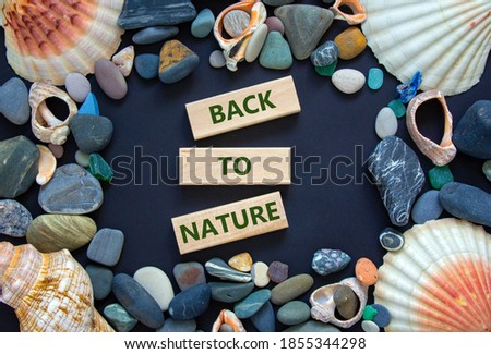 Text 'back to nature' on wooden blocks on a beautiful black background. Sea stones and seashells. Concept.