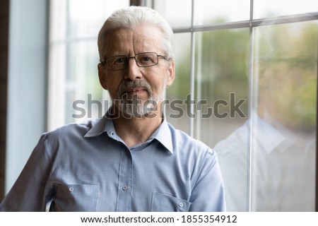 Head shot portrait mature grey haired man wearing glasses standing near window, senior grandfather in spectacles looking at camera, posing for photo at home, elderly generation concept