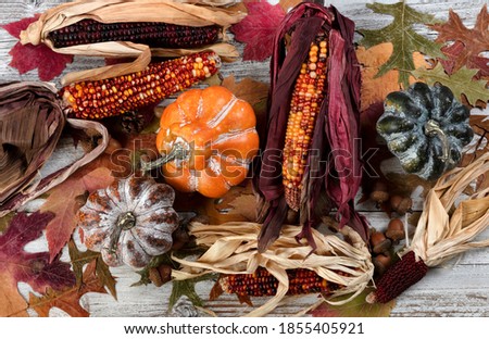 Autumn colorful leaves, acorns, corn and gourds on white rustic wooden background for the Thanksgiving holiday season in filled frame format 