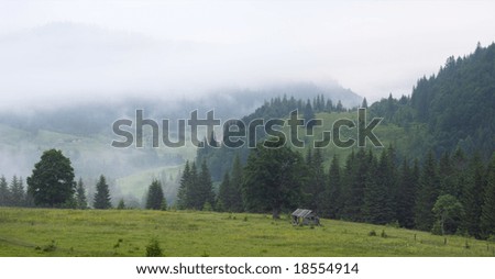 Fog over summer mountains. Two shots composite picture.