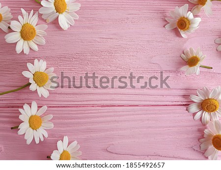 chamomile flower on wooden background
