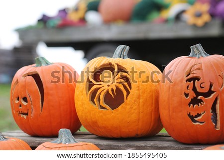 carved pumpkin display for Halloween, Philadelphia suburb Pennsylvania, USA Royalty-Free Stock Photo #1855495405