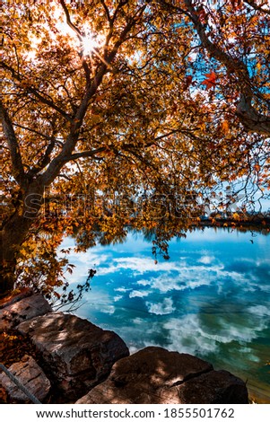 Autumn's Golden Reflection at the most beautiful lake in lebanon