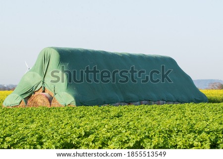 A pile of straw bales protected with a green tarpaulin. Royalty-Free Stock Photo #1855513549