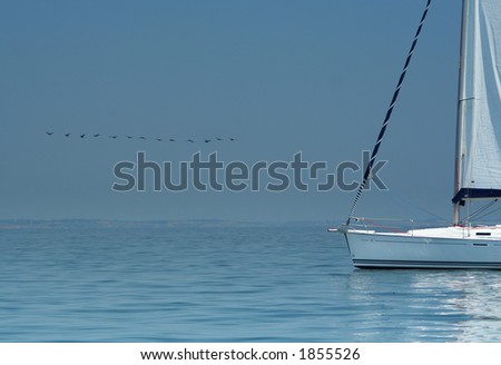 Bird above silent water and white yacht. It is a beautiful peace picture. Silence and rest. The world. The warm sea.