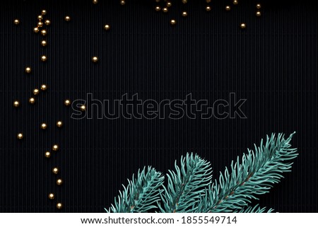 Spruce branch on a black background. Festive background. Christmas background. Background for the New Year's postcard. Festive postcard. Stylish congratulations concept. Free place.