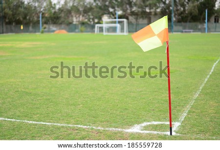 Green empty football field in summer with corner flag