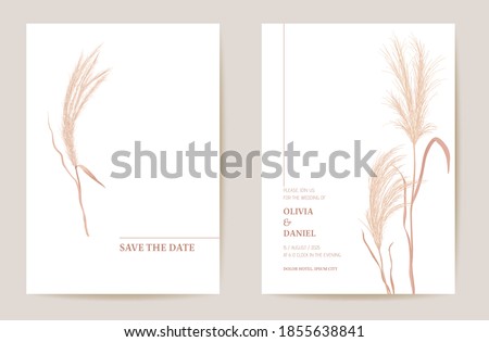 Minimal wedding invitation pampas grass boho card. Autumn watercolor template vector. Botanical Save the Date golden foliage modern poster, trendy design, luxury background, floral illustration Royalty-Free Stock Photo #1855638841