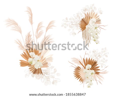 Dried lunaria flowers, orchid, pampas grass, tropical palm leaves vector bouquets. Pastel watercolor floral template isolated collection for wedding wreath, bouquet frames, decoration design elements Royalty-Free Stock Photo #1855638847