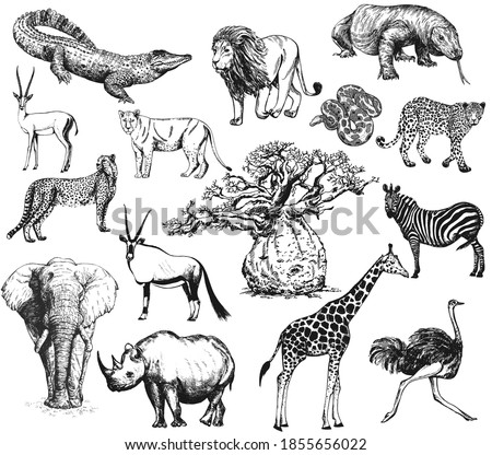 Big set of hand drawn sketch style animals isolated on white background. Vector illustration.