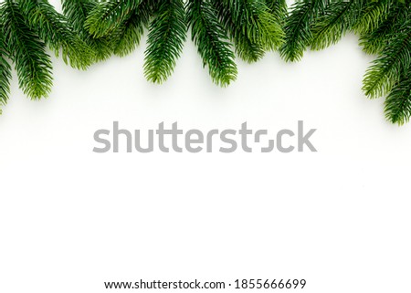 Spruce branch on christmas or new year on white background 
