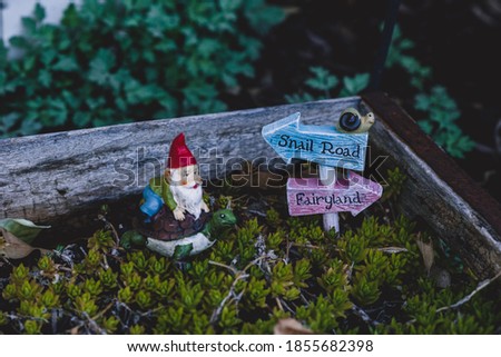 Small yard gnome riding a turtle.