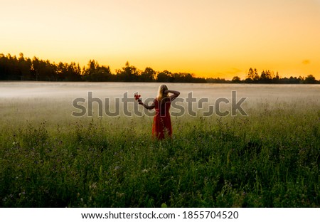 Woman with curly blond hair, wearing orange dress and holding Calendula officinalis flowers on misty Alfalfa also called lucerne, Medicago sativa field in midnight summer sunset. 