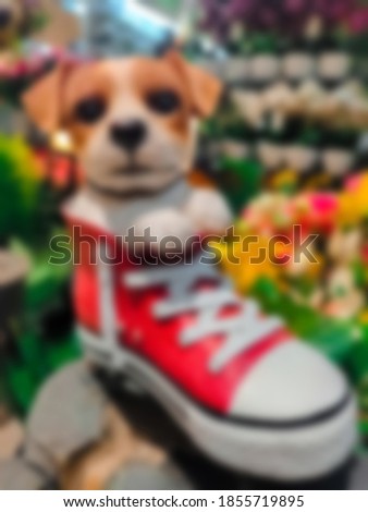 Blurry a puppy stuck in shoe with selective focusand a little grainy and noisy