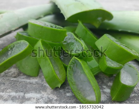 Pic of Aloe vera leaf
