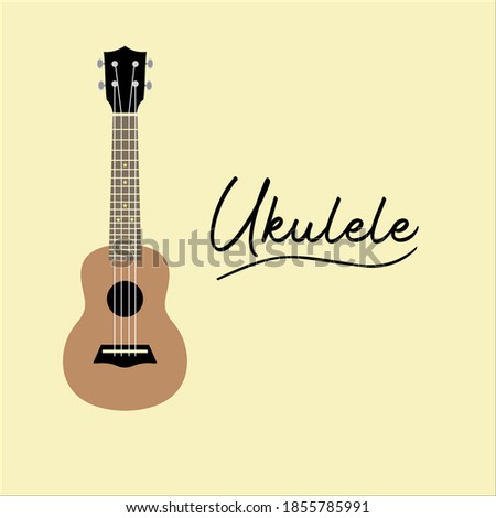 Vector of ukulele with classic colour