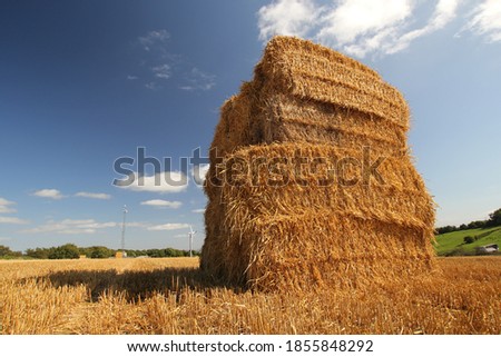 Hay Bale In Farmers Field With Blue Sky Background