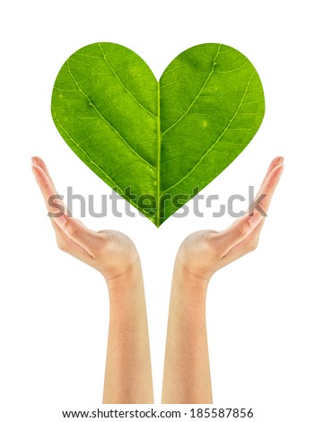 Woman hand holding green heart made of green leaf isolated on white background